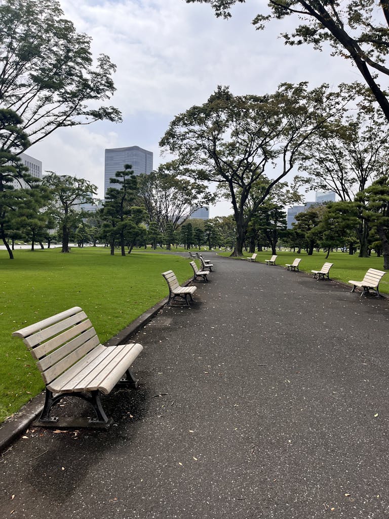 Peaceful park scene with empty benches and skyscrapers in Tokyo, Japan.